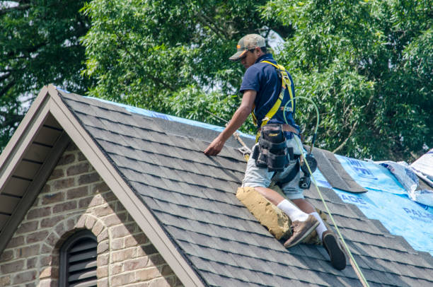 Best Roof Replacement Cost  in Munford, AL